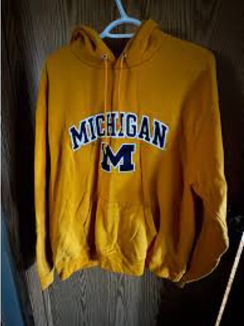 Champion Michigan Hooded Sweatshirt - Men